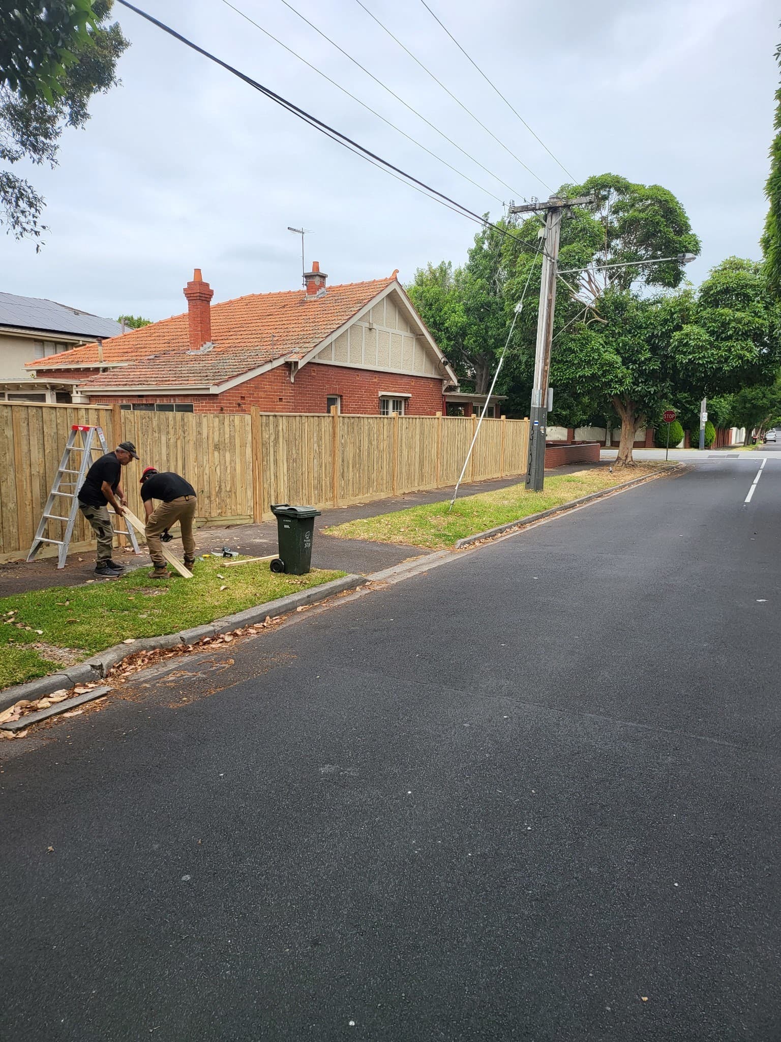 Timber boundary fence going up